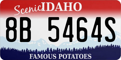 ID license plate 8B5464S