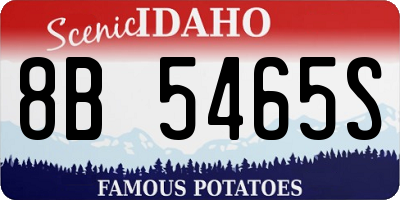 ID license plate 8B5465S