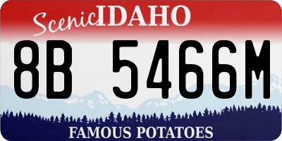 ID license plate 8B5466M
