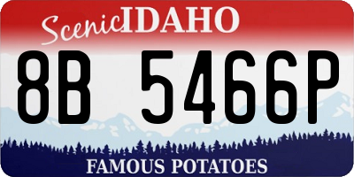 ID license plate 8B5466P
