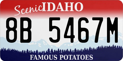 ID license plate 8B5467M