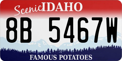 ID license plate 8B5467W