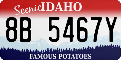 ID license plate 8B5467Y