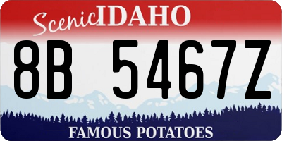 ID license plate 8B5467Z