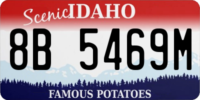 ID license plate 8B5469M