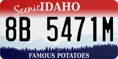 ID license plate 8B5471M