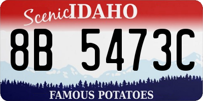 ID license plate 8B5473C