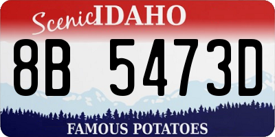ID license plate 8B5473D