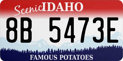 ID license plate 8B5473E