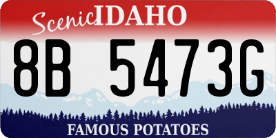 ID license plate 8B5473G
