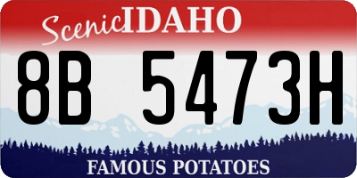 ID license plate 8B5473H