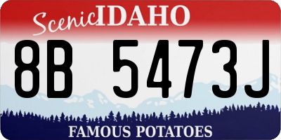 ID license plate 8B5473J