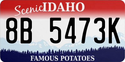 ID license plate 8B5473K