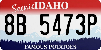 ID license plate 8B5473P