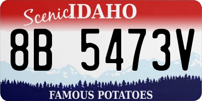 ID license plate 8B5473V