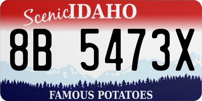ID license plate 8B5473X