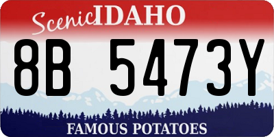 ID license plate 8B5473Y
