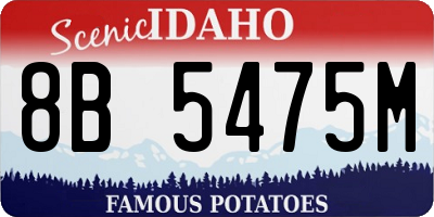 ID license plate 8B5475M