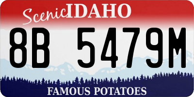 ID license plate 8B5479M