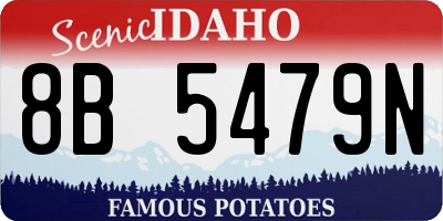 ID license plate 8B5479N