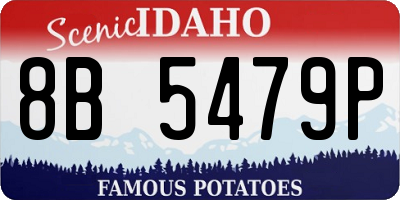 ID license plate 8B5479P