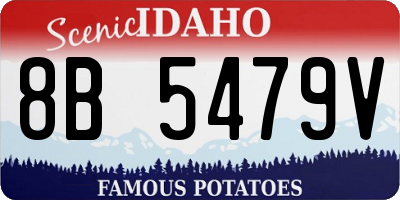 ID license plate 8B5479V