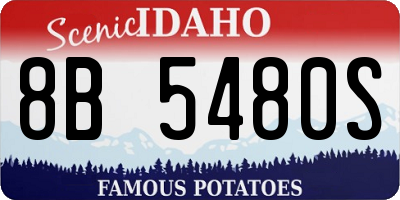 ID license plate 8B5480S