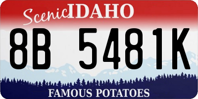 ID license plate 8B5481K