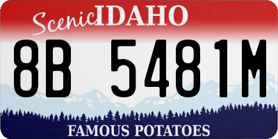 ID license plate 8B5481M