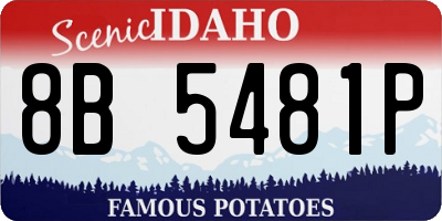 ID license plate 8B5481P