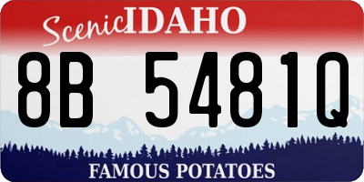 ID license plate 8B5481Q