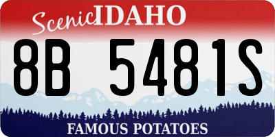 ID license plate 8B5481S