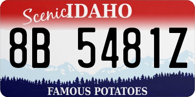 ID license plate 8B5481Z