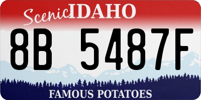 ID license plate 8B5487F
