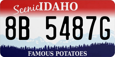 ID license plate 8B5487G