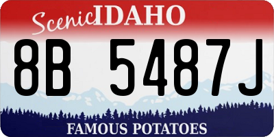 ID license plate 8B5487J