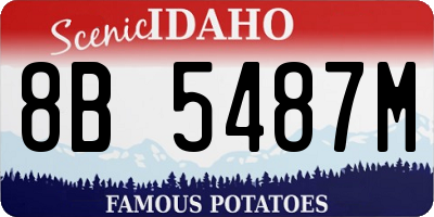 ID license plate 8B5487M