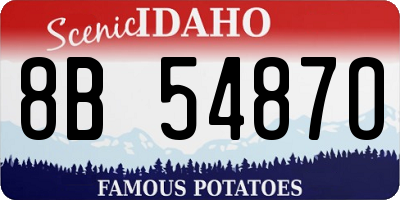 ID license plate 8B5487O