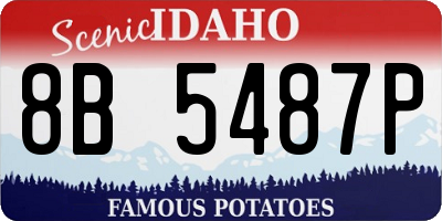 ID license plate 8B5487P