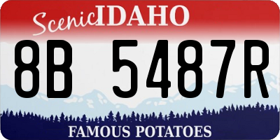 ID license plate 8B5487R