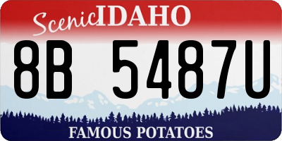 ID license plate 8B5487U