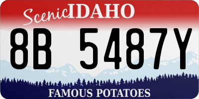 ID license plate 8B5487Y