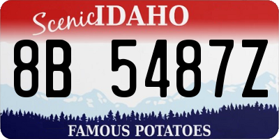 ID license plate 8B5487Z