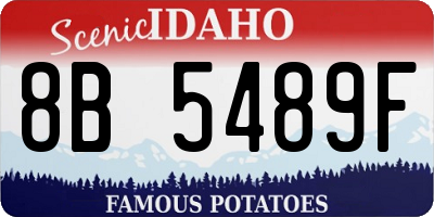 ID license plate 8B5489F