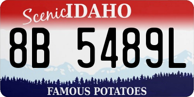 ID license plate 8B5489L