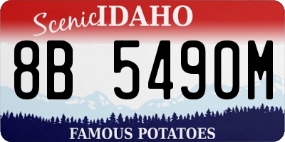 ID license plate 8B5490M