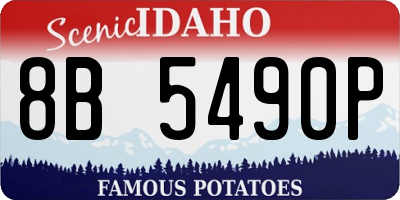 ID license plate 8B5490P