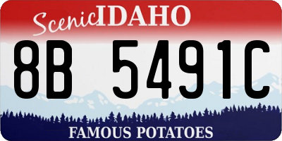 ID license plate 8B5491C