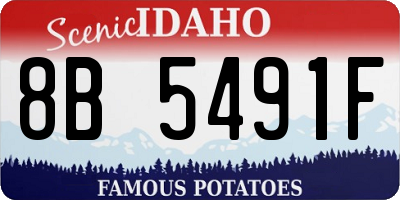ID license plate 8B5491F