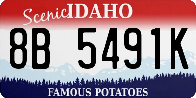 ID license plate 8B5491K